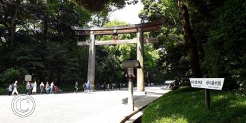 Japón