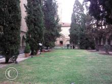 IMG_20111106_114048
