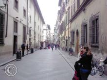 IMG_20111106_104231