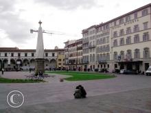 IMG_20111106_114008
