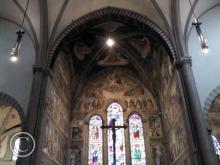 IMG_20111106_114522