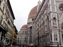 IMG_20111106_105240