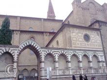 IMG_20111106_113808