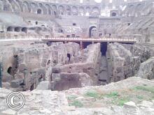 IMG_20111104_064838