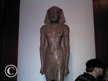 IMG_20111105_063720