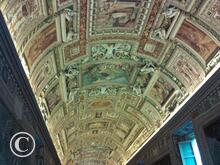 IMG_20111105_064949