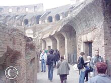 IMG_20111104_064611