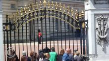 SAM_0447