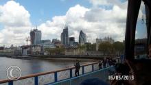 SAM_0354