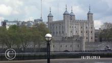 SAM_0366