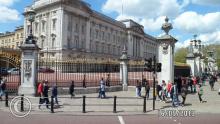 SAM_0444