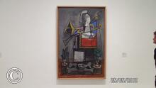 SAM_0733