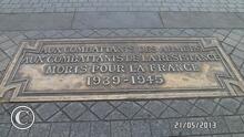 SAM_0581