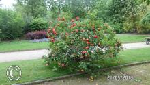 SAM_0566