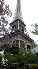 SAM_0554