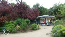 SAM_0562