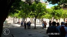 Sevilla - Patio de los Naranjos