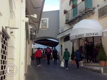 CAM00477