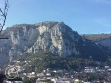 CAM00471