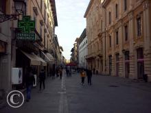 CAM00516
