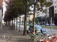 CAM00511