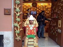 CAM00509