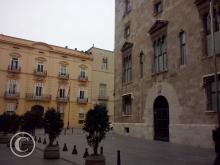 CAM00664