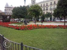 CAM00651