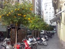 CAM00639