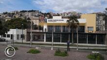 Museo Darwin