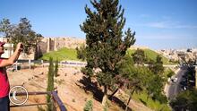 Ciudadela de Ammán