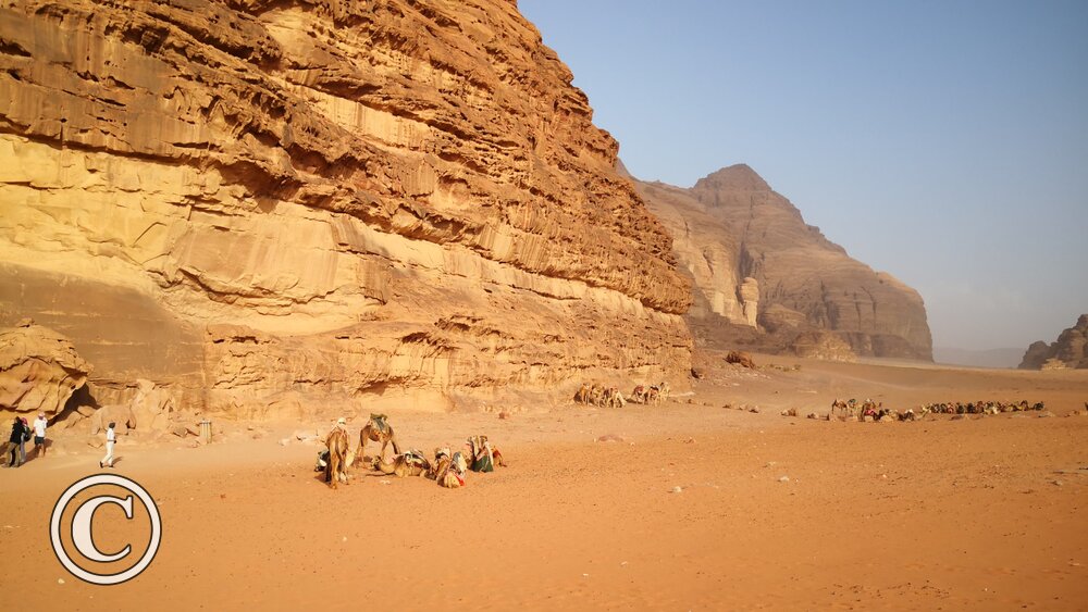 Desierto de Wadi Run - Posta de camellos Beduina