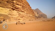 Desierto de Wadi Run - Posta de camellos Beduina